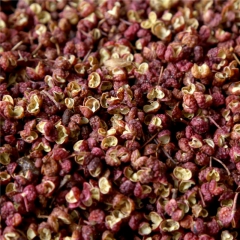 热卖红花椒 调味品花椒香料 大红袍火锅底料 麻辣烫底料川渝特...