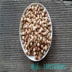 调料香料卤料火锅底料 进口特级白豆蔻白蔻白扣仁壳蔻中药材