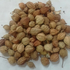 调味香料 正宗四川烧卤煨煮荤食调味料 热销散装500g冒菜火...
