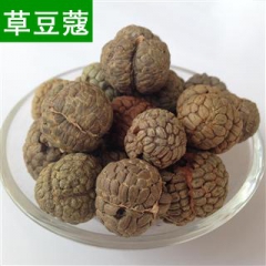 批发优质草蔻 调味香料草寇 卤料草豆蔻 火锅底料 中药材批发