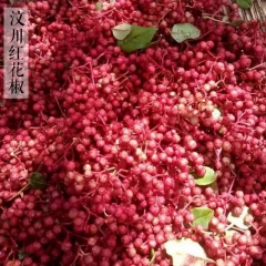 阿坝特产 六月红花椒供应批发源头货源调味品调味料香料火锅底料