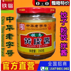 广西铁鸟20瓶装黄皮酱原味佳品 酸醋酱油生产厂家 厨房调味品
