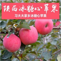 陕西冰糖心苹果——习大大家乡冰糖心苹果。绿色种植，脆甜可口，...