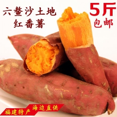 六鳌沙地红心蜜薯红薯番薯地瓜(福建漳州市)