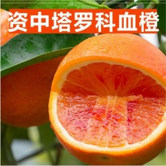 中华老字号 东阿阿胶桃花姬阿胶糕300g