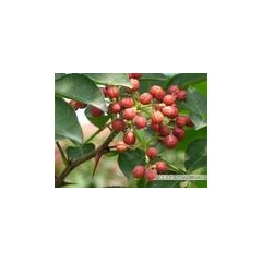 吉安荣盛植物生产供应花椒油 调味油 食品调味香料 品质保证