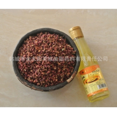 特价调味食品 陕西名优特产 实惠小瓶装大红袍花椒油 厂商直销