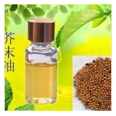 厂家供应100%纯天然白芥子油 杀菌解毒 芥末油 黑芥子油