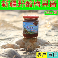 新疆特产野果林特级野酸梅果酱批发亚洲仅存珍惜树种特制蜂蜜果酱