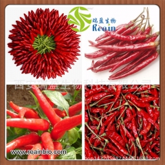 辣椒油 / 辣椒精油 / 供应100g 小包装 辣椒油