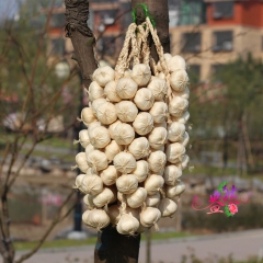 中华老字号 东阿阿胶桃花姬阿胶糕300g