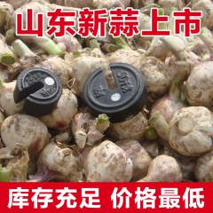中华老字号 东阿阿胶桃花姬阿胶糕300g