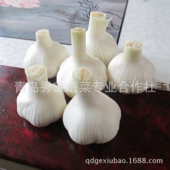 中华老字号 东阿阿胶桃花姬阿胶糕300g