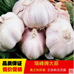 中华老字号 东阿阿胶桃花姬阿胶糕300g