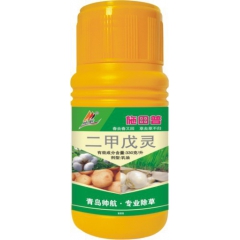 中华老字号 东阿阿胶桃花姬阿胶糕300g