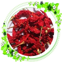 中华老字号 东阿阿胶桃花姬阿胶糕300g