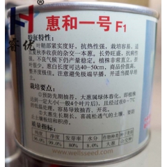 抗热性、抗病性强，直立性好日本进口大葱----惠和一号F1