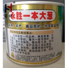 优质葱种专用供用、日本进口--永胜一本大葱