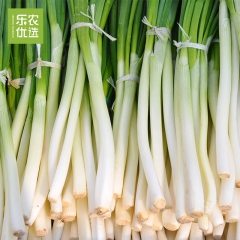 中华老字号 东阿阿胶桃花姬阿胶糕300g