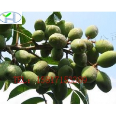 中华老字号 东阿阿胶桃花姬阿胶糕300g