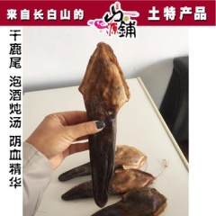 东北长白山梅花鹿 鹿尾  来自鹿乡的东北梅花鹿(吉林白山市)