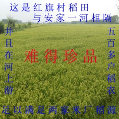 东北优质五常稻花香大米二号产地直发10kg袋米优选大米超日本...