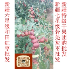中华老字号 东阿阿胶桃花姬阿胶糕300g