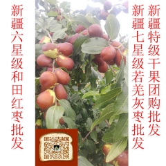 中华老字号 东阿阿胶桃花姬阿胶糕300g