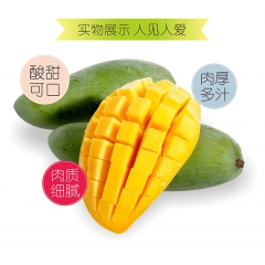 中华老字号 东阿阿胶桃花姬阿胶糕300g