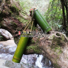 中华老字号 东阿阿胶桃花姬阿胶糕300g