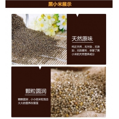 官草皇有机黑小米 补血滋补佳品(山西长治市)