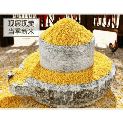 向阳坡黄小米（代县特产）(山西忻州市)