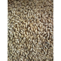 中华老字号 东阿阿胶桃花姬阿胶糕300g
