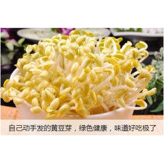 中华老字号 东阿阿胶桃花姬阿胶糕300g