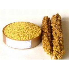 中华老字号 东阿阿胶桃花姬阿胶糕300g