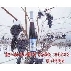 中华老字号 东阿阿胶桃花姬阿胶糕300g