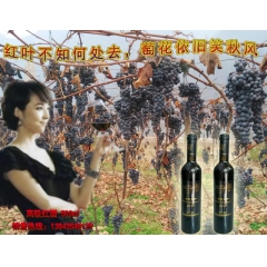 中华老字号 东阿阿胶桃花姬阿胶糕300g