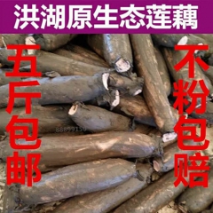 洪湖煲汤粉莲藕 野生纯天然 46.5元/5斤 包邮