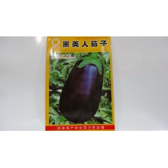 杂交黑美人茄子