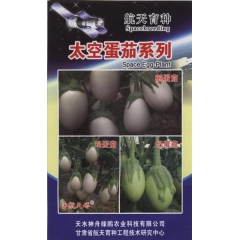 天水神舟绿鹏公司2015太空茄子新品种 太空蛋茄系列 厂家直...