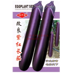 高产小包紫红长茄子 紫玉长茄 原厂包装约100粒装常规种 批...
