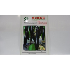 进口长茄子优选茄种