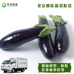 新鲜蔬菜 长茄子 新鲜茄子 供应食堂酒店学校企业公司北京配送