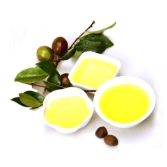 中华老字号 东阿阿胶桃花姬阿胶糕300g
