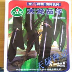 产量高 抗病性强  耐热性强 大龙茄子