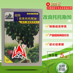 引进超级改良托托斯加 茄子 番茄 两用嫁接砧木 5克原装