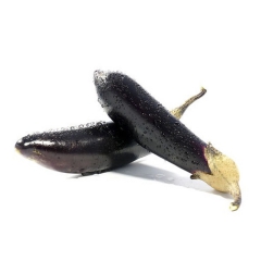 紫茄子 绿色蔬菜 一手农家养殖 场地直销 价格合理 新鲜蔬菜...