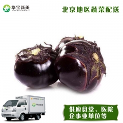 新鲜蔬菜 圆茄子 新鲜茄子 供应食堂酒店学校企业公司北京配送