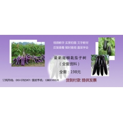 优良地方品种——兖州朱砂红茄子