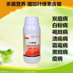 杀菌剂农药  细截 防治番茄 茄子 辣椒溃疡病 溃疡病特效药